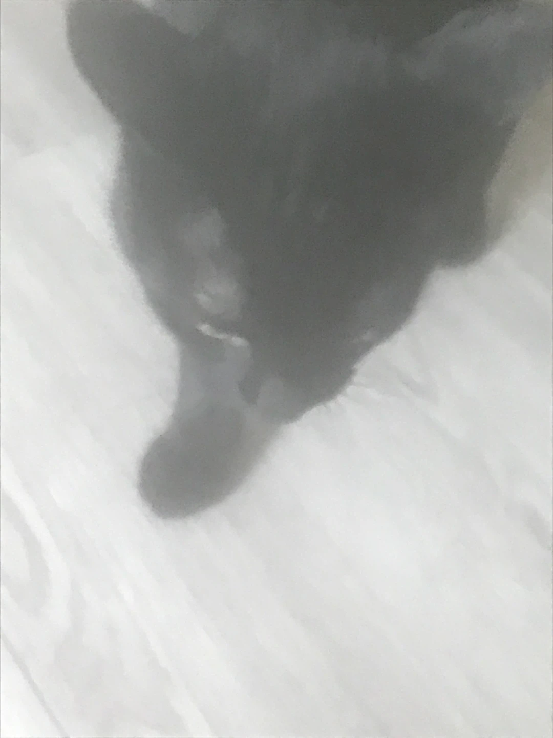 Zay profile