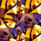 Xai profile