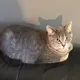 Samantha profile
