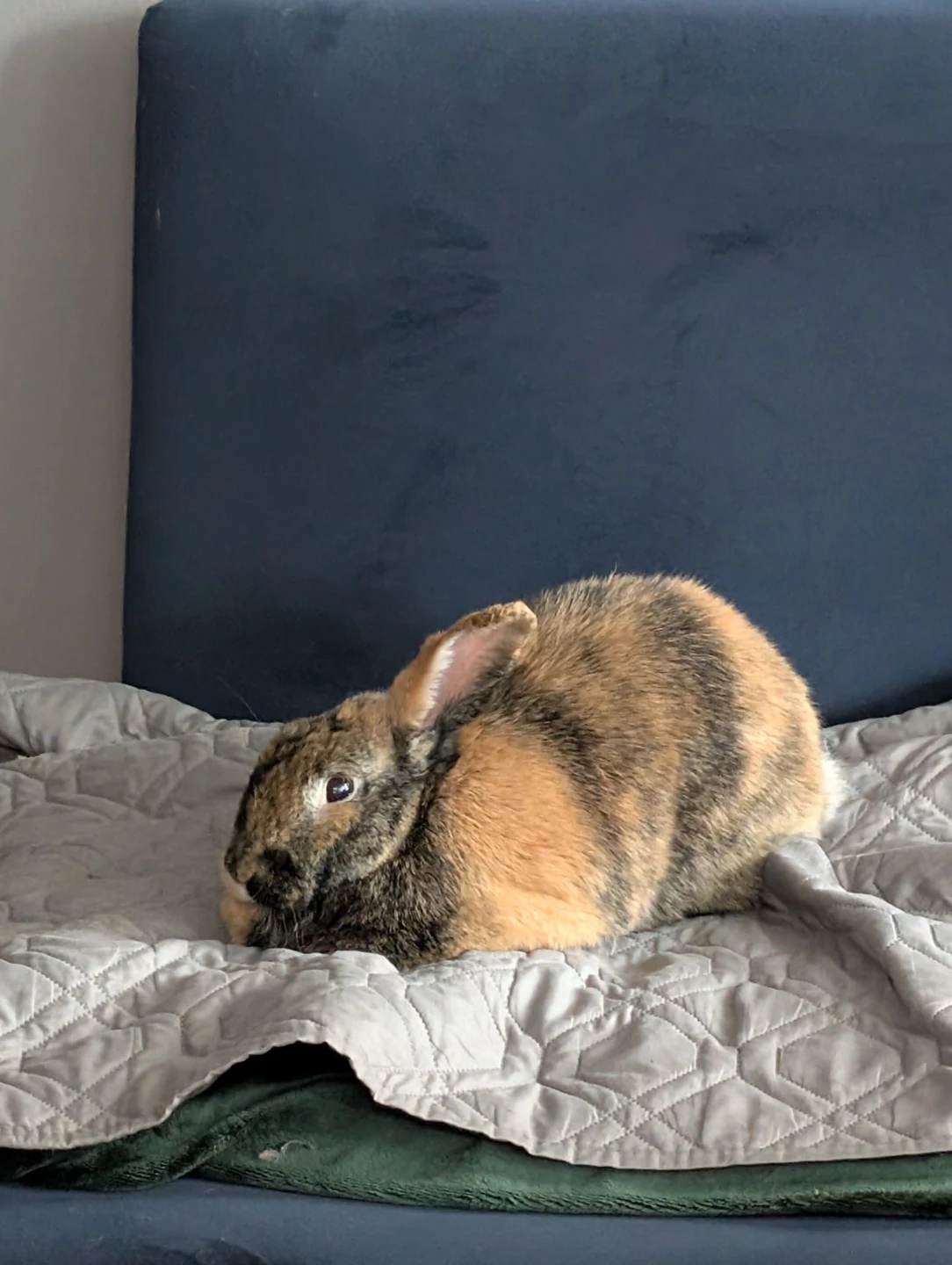 Karen profile