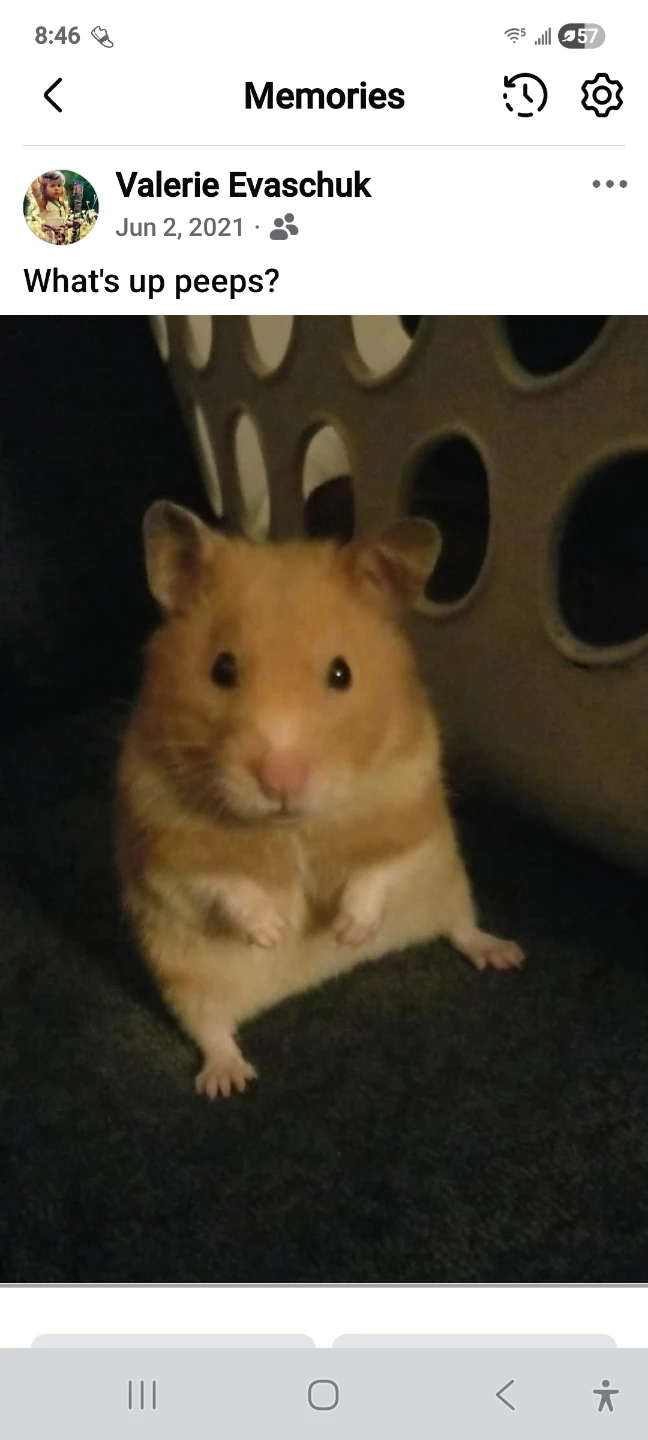 Val profile