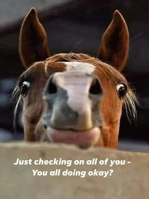 Lucky profile