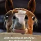 Lucky profile