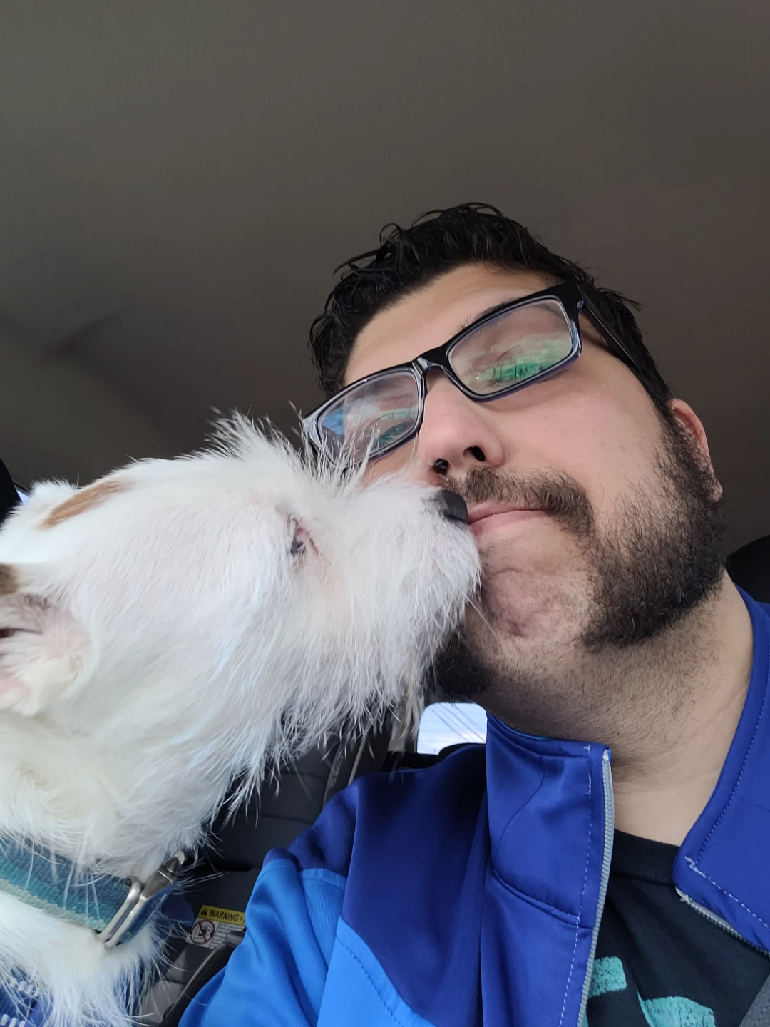 Cory profile