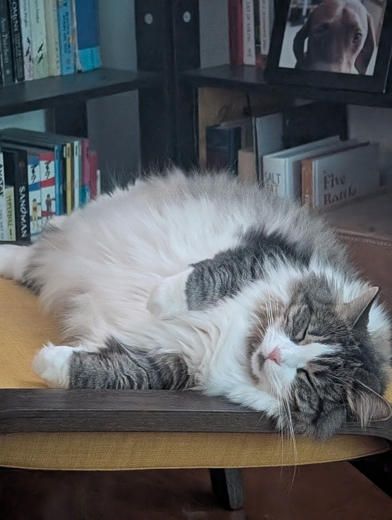 Ray profile