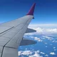Aziza profile