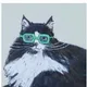 D Bett profile