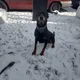manny profile