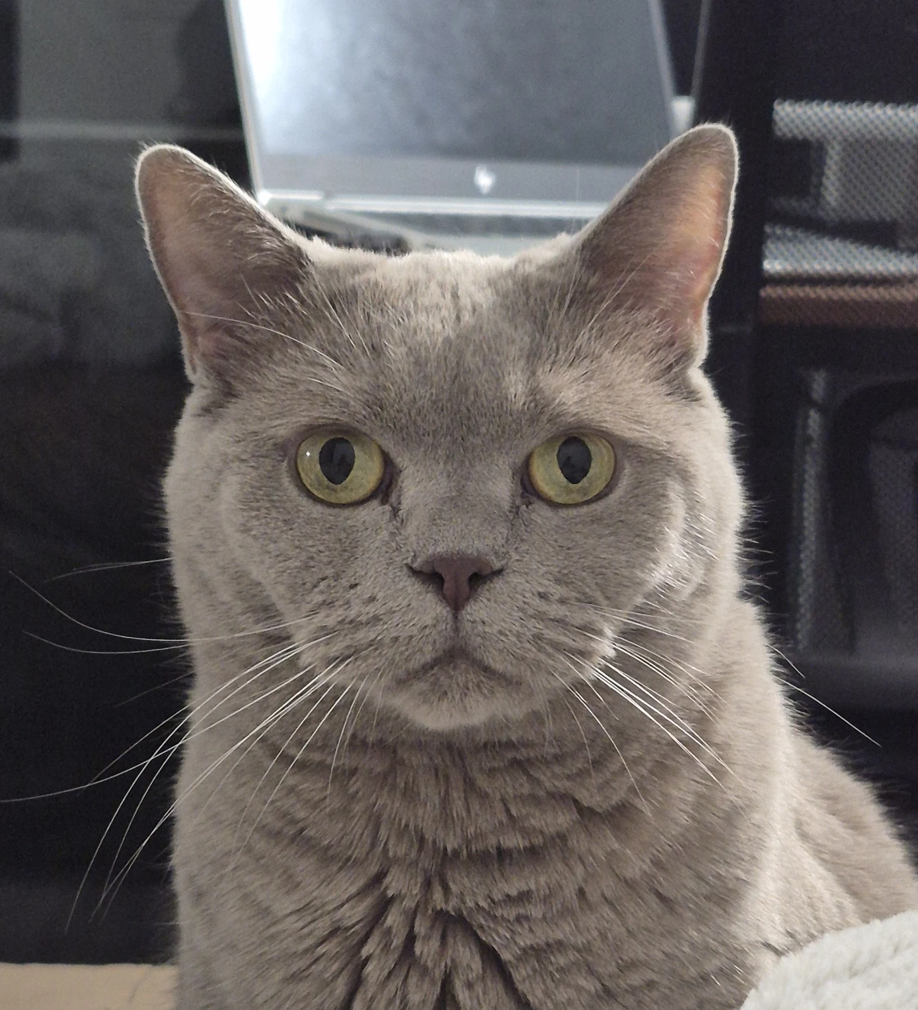 mumu profile