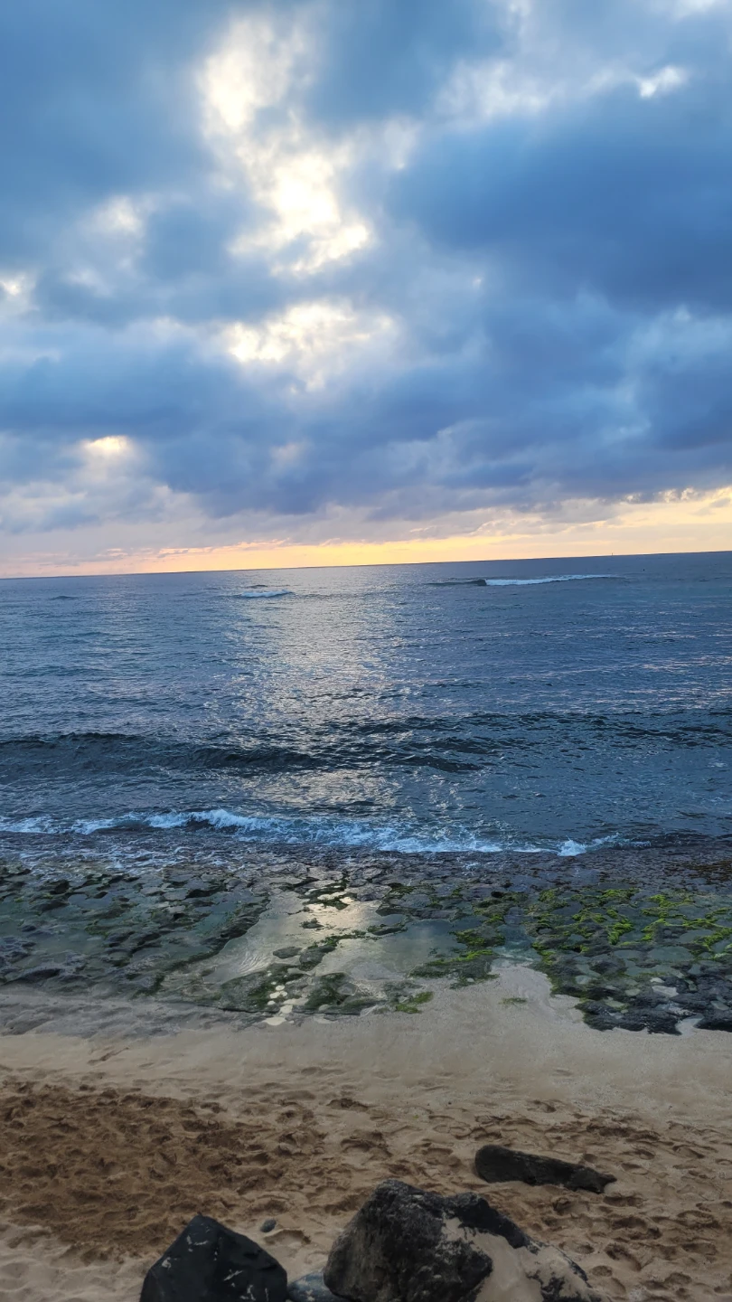 Jacob profile
