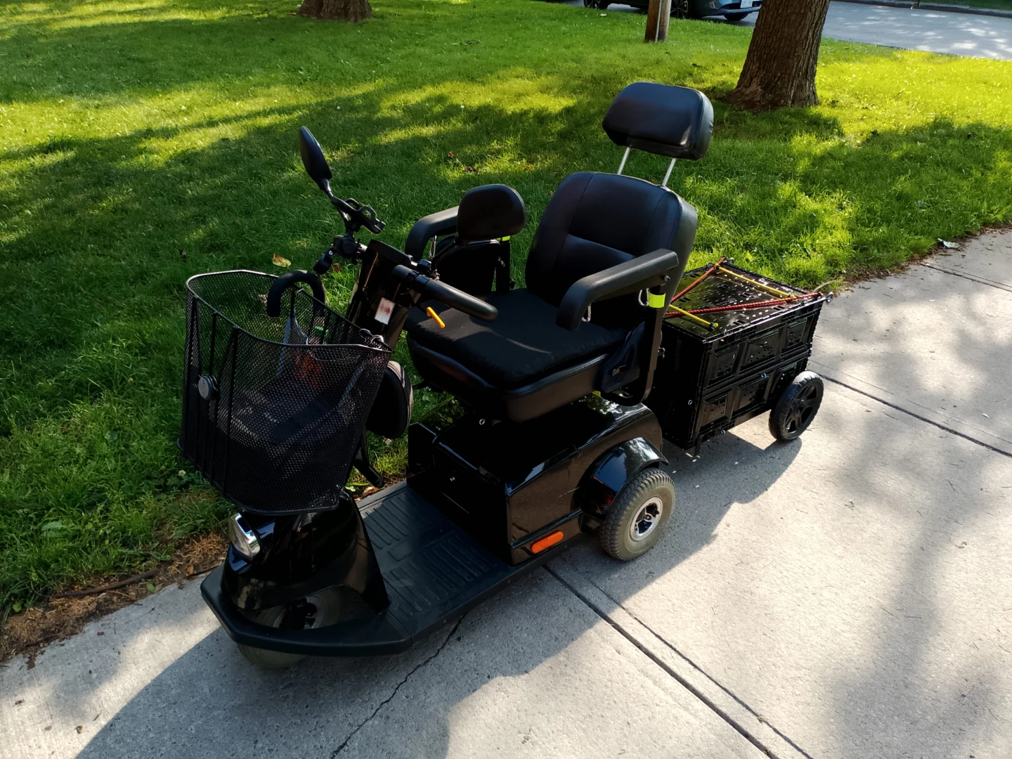 David Scooter Man profile