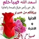 Alaaeldin profile