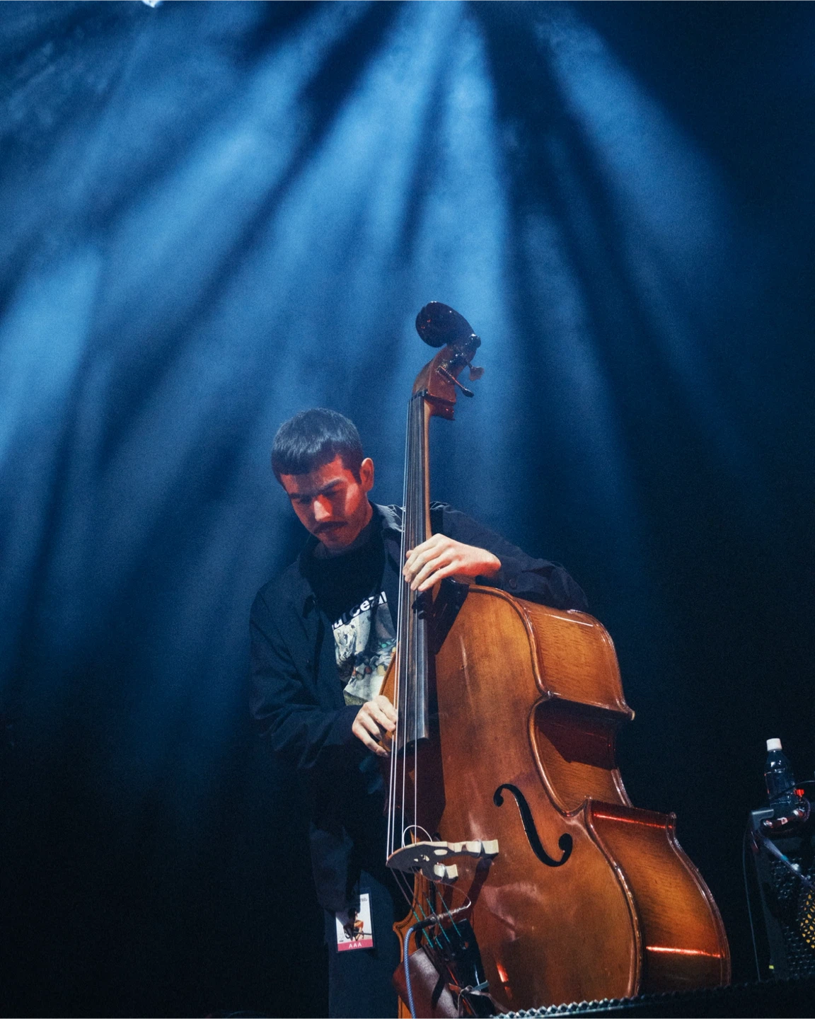 Noam profile