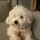 Leila profile