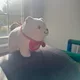 Andy profile