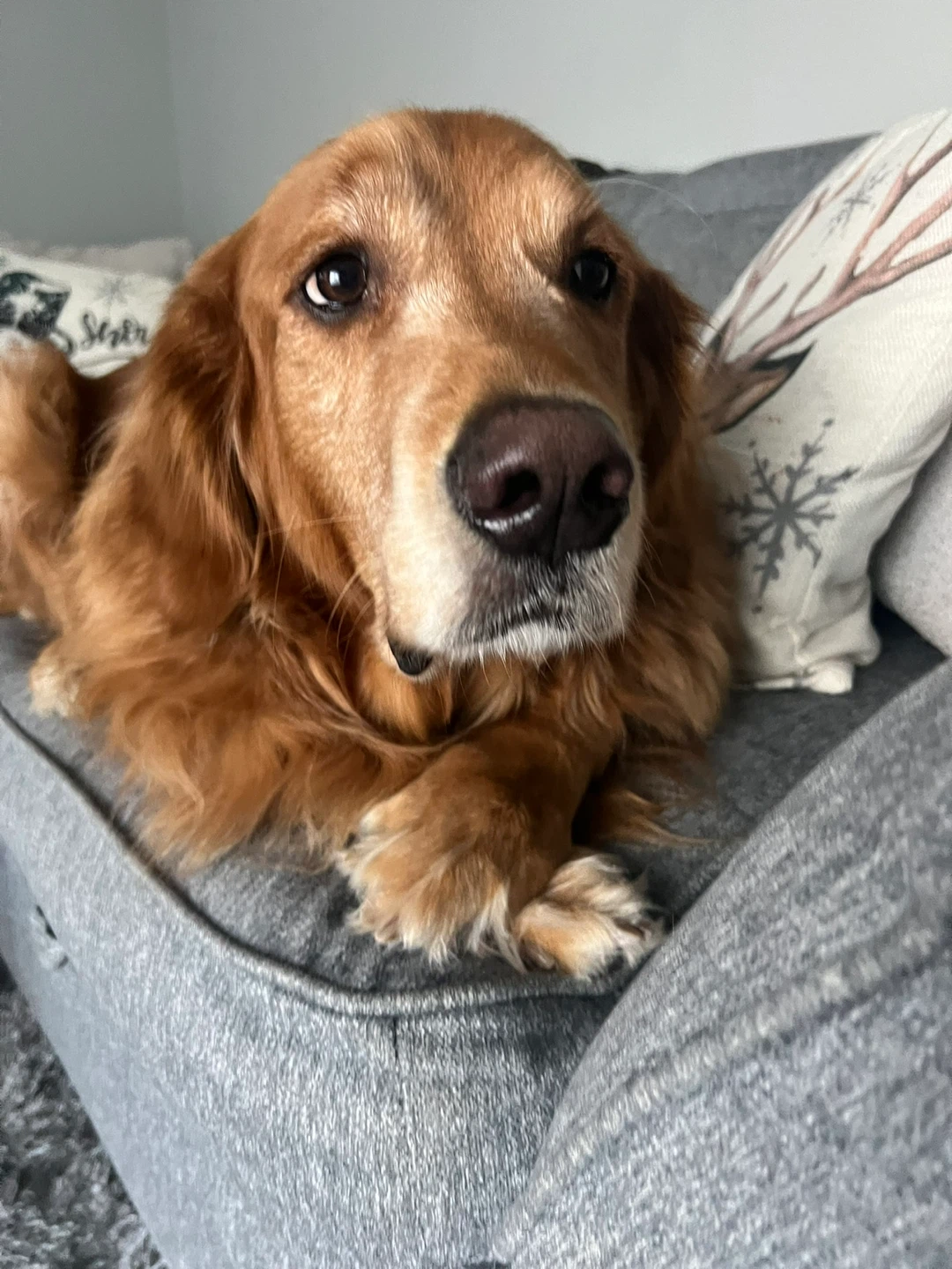 Nick profile