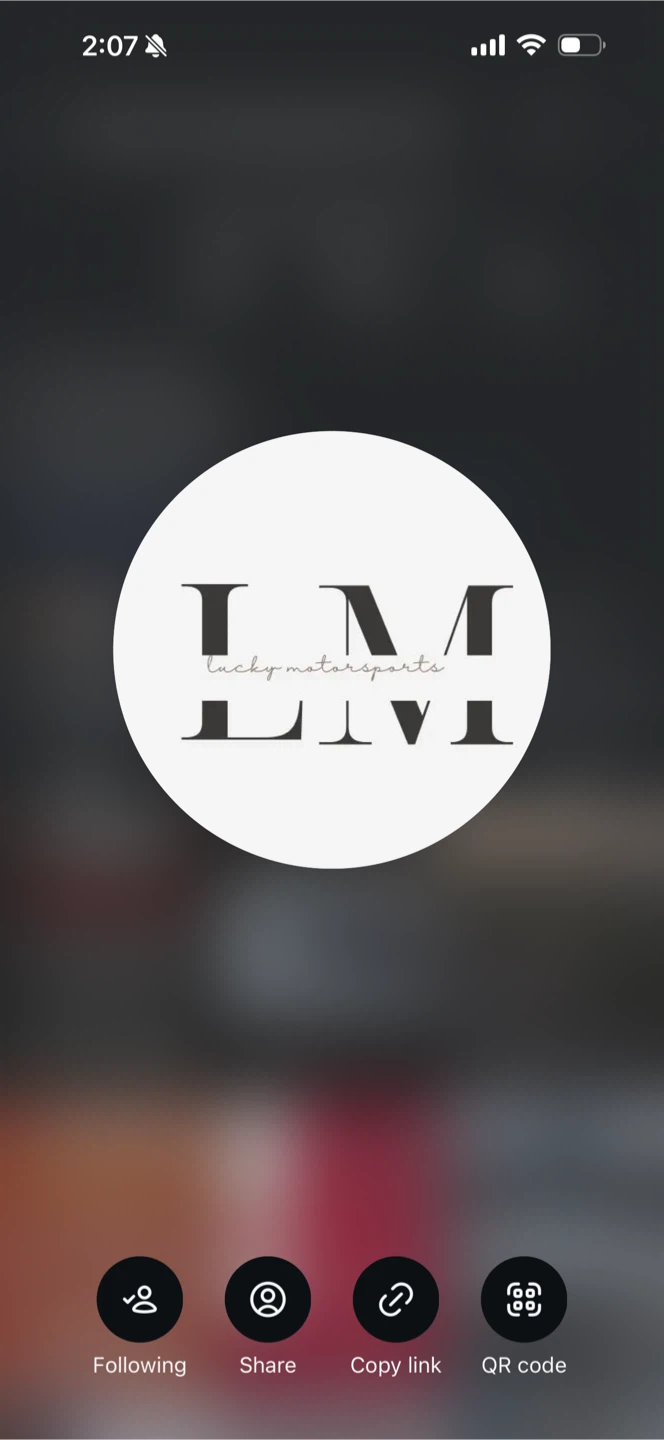 Lucky motorsports profile