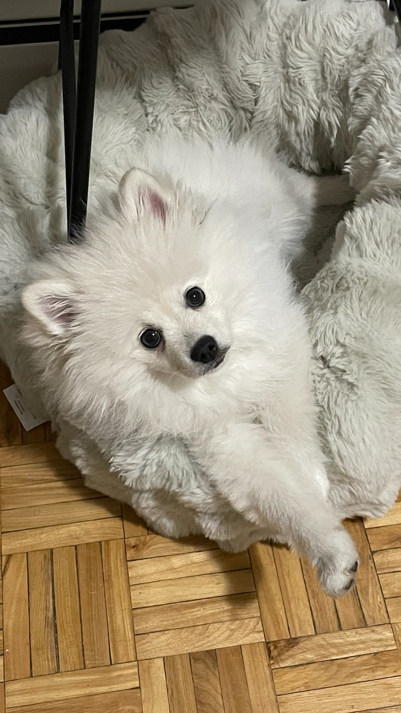 Starr profile
