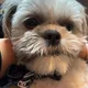Koko profile