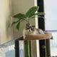 Calico profile