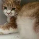 kassi profile