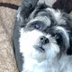 Juni profile