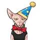TKE profile