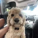 Seanaaaa profile