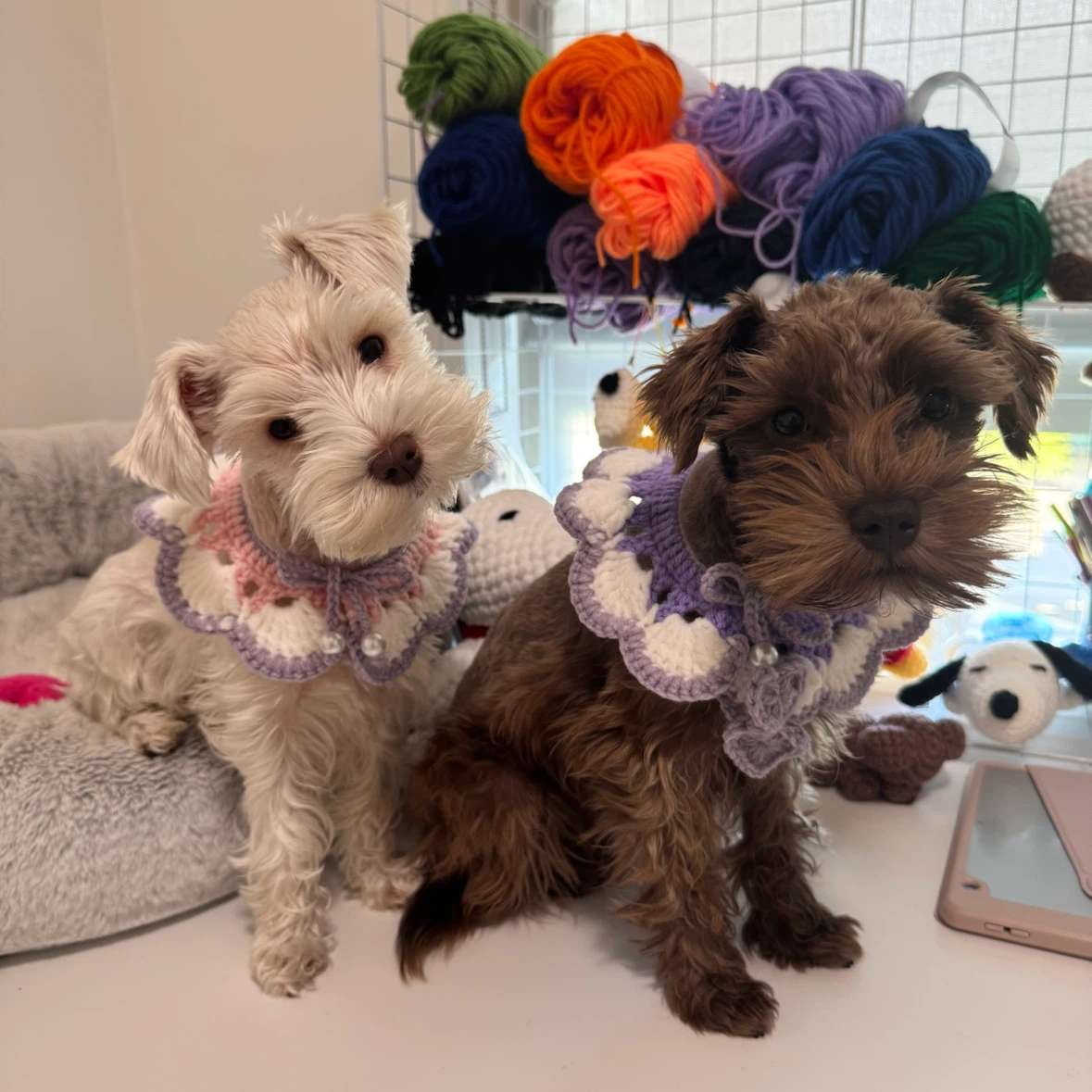 Crochet for paws profile