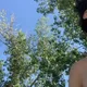 Peter profile