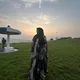 Tasnim profile