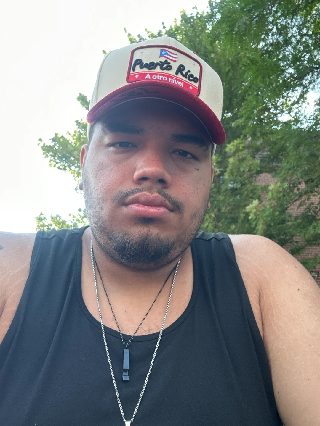 Luis profile