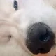 Victor profile