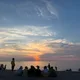 Alexandria profile