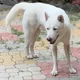 Meckie profile
