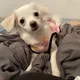 Fatima profile