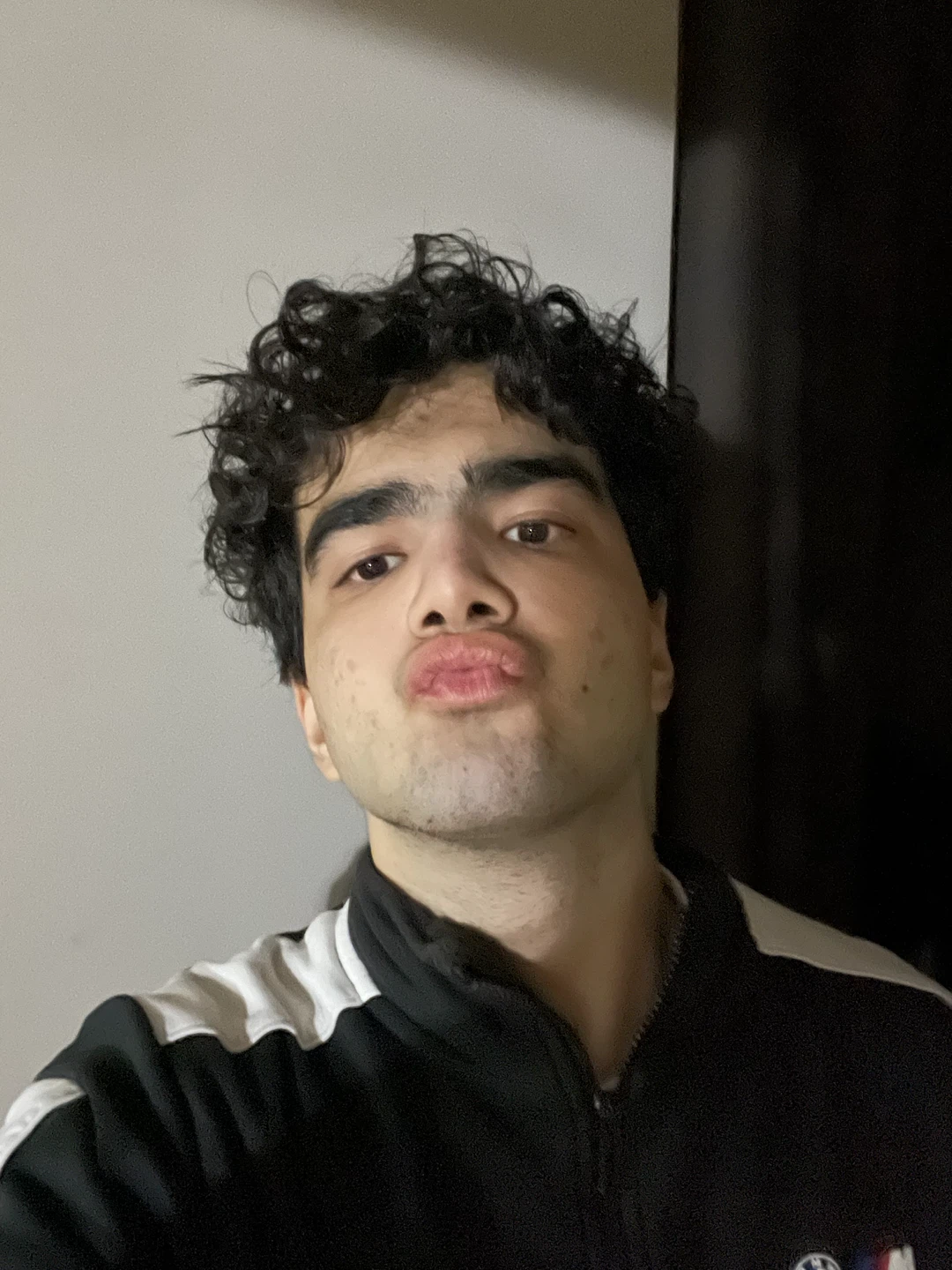 Ashkan profile