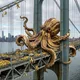 Brooklyn718 profile