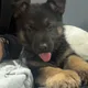 Raj profile