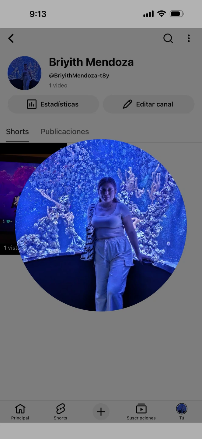 Mendoza profile
