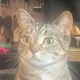 Max Cleric Roux profile