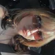 Alexa profile