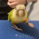 Sev profile