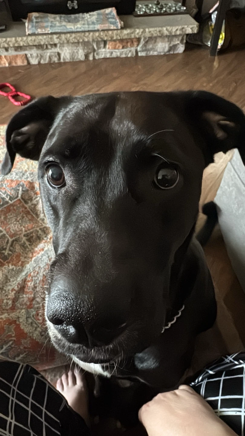 Claudia profile