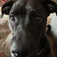 Claudia profile