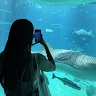Nikki W profile