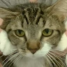 Zeineb profile