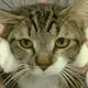Zeineb profile