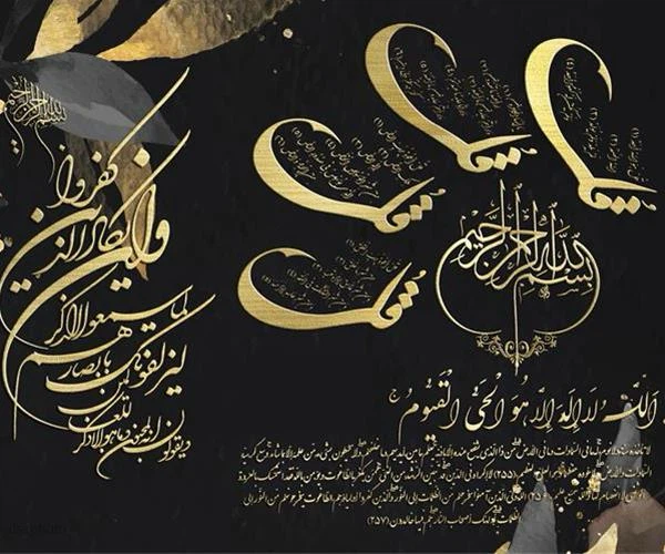 Somaiya Faizi profile