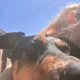 rsnxxk profile